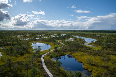Yüksek açılı göl ve göl manzarası yükseltilmiş bataklık ve bataklık manzarası