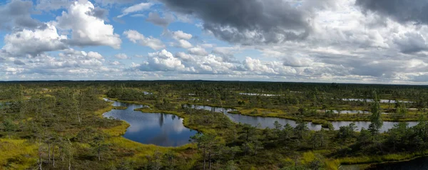 隆起した沼や沼の風景の中にある湖や潟湖の高い角度のパノラマビュー — ストック写真