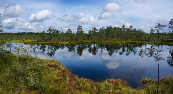 Resimli turba bataklığı ve mavi göl manzarası. Beyaz bulutlu, anlamlı bir gökyüzü altında.