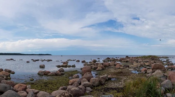 一幅风景如画的平静的海洋景观 前景是巨大的岩石 后面是森林海岸线 — 图库照片