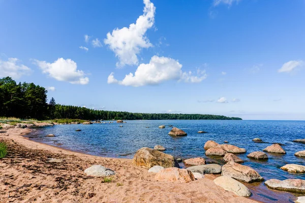 爱沙尼亚北部Laheema国家公园Baltici海的田园诗般的海滨景观 — 图库照片