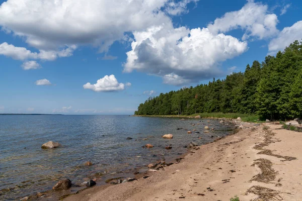 爱沙尼亚北部Laheema国家公园Baltici海的田园诗般的海滨景观 — 图库照片
