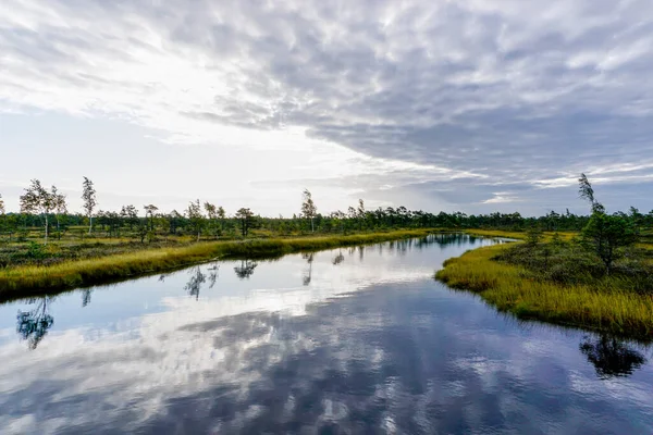 一个美丽的沼泽和沼泽景观与小湖 — 图库照片