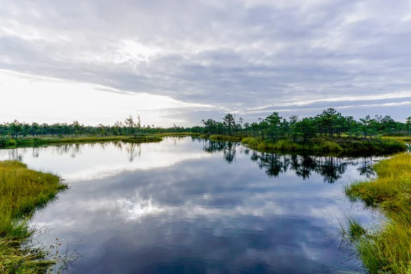 Uma Bela Paisagem Pântano Pântano Com Pequenos Lagos — Fotografia de Stock