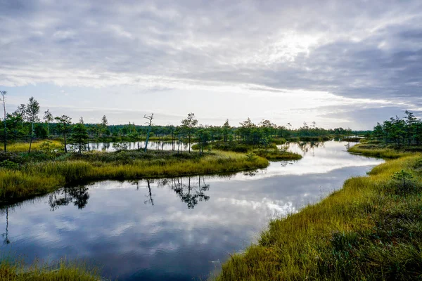 一个美丽的沼泽和沼泽景观与小湖 — 图库照片