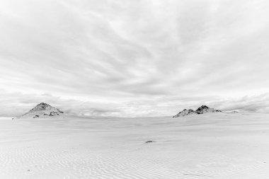 Kuzey Polonya 'daki Baltık Denizi' ndeki Slowinski Ulusal Parkı 'nda sonu gelmeyen kum tepelerinin görüntüsü