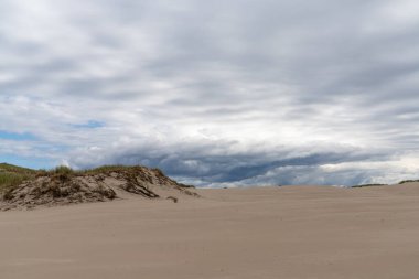 Kuzey Polonya 'daki Baltık Denizi' ndeki Slowinski Ulusal Parkı 'nda sonu gelmeyen kum tepelerinin görüntüsü