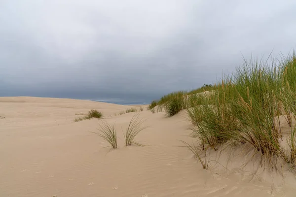 波兰北部波罗的海Slowinski国家公园中无尽的流沙沙丘 — 图库照片