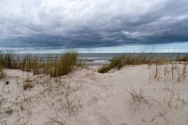 Horizontal landscape of grass and sand dunes with a beach and ocean behind under an expressive cloudy sky
