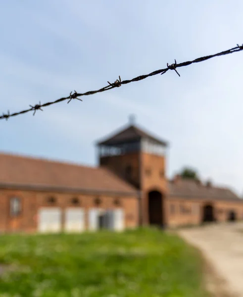 Auschwitz Polen September 2021 Selectieve Focus Van Prikkeldraad Hek Met — Stockfoto