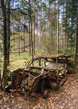 Ryd, İsveç - 13 Eylül 2025: İsveç 'in güneyindeki Ryd yakınlarındaki Kirkomosse Araba Mezarlığında terk edilmiş eski bir araba.