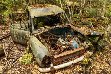 Ryd, İsveç - 13 Eylül 2025: İsveç 'in güneyindeki Ryd yakınlarındaki Kirkomosse Araba Mezarlığında terk edilmiş eski bir araba.