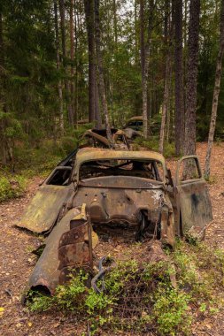 Ryd, İsveç - 13 Eylül 2025: İsveç 'in güneyindeki Ryd yakınlarındaki Kirkomosse Araba Mezarlığında terk edilmiş eski bir araba.