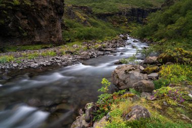 Batı İzlanda 'da Hvalfjordur yakınlarındaki Glymur şelalesinin altındaki sakin Botsna Nehri manzarası