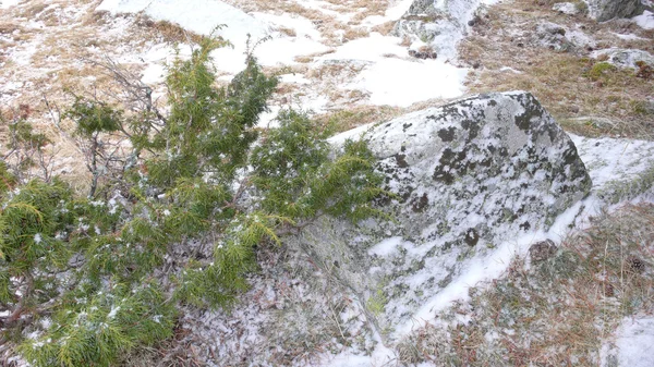 Snowfield dağlar