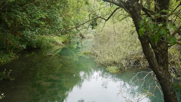 Quiet řeka v létě — Stock fotografie