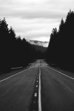 Karanlık Orman ve Puslu Tepeler Arasındaki Yalnız Yol, Dramatik Siyah ve Beyaz Peyzaj Fotoğrafı