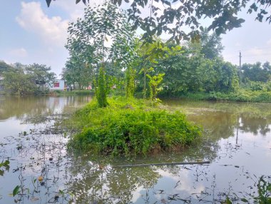 Serene Adası Vahası: Berrak Yeşillik Huzur Suyuna Yansıdı