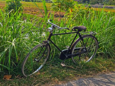 Güneşli bir günde uzun çimlere park edilmiş eski bir bisiklet.