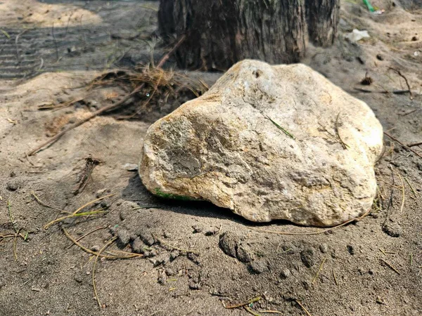A large rock sits on the sandy ground near a tree