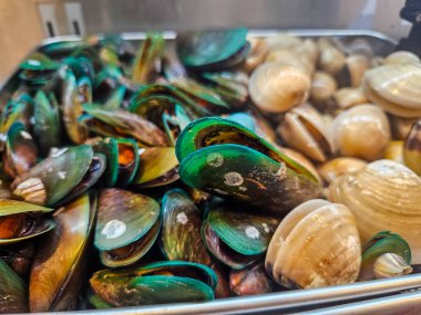 Yeşil midye ve beyaz istiridye karışımı paslanmaz çelik tepside, pişirmeye hazır.