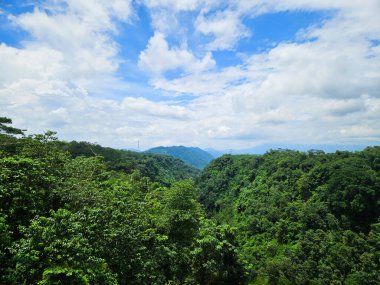 Yoğun bir tropikal yağmur ormanı vadisinin nefes kesen hava manzarası dalgalı mavi bir gökyüzü ve beyaz bulutların altında dönen bir nehir..