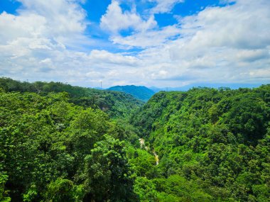 Yoğun bir tropikal yağmur ormanının nefes kesen panoramik görüntüsü dalgalı mavi gökyüzünün altında dalgalı tepeleri ve vadileri kaplıyor dağınık beyaz bulutlarla.