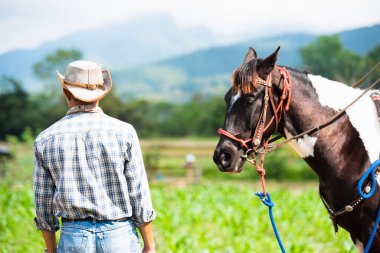 Çiftlikte atı olan şapkalı bir kovboy, at koşumu, çoban ve çiftçi konsepti..