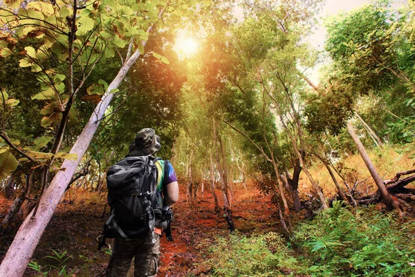 Homem Caminhante Olhando Caminho Floresta Para Trekking Pico Montanha Sobe — Fotografia de Stock