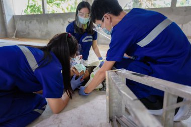 Kafa yaralanmaları için ilk yardım ve iş yerindeki tüm travma vakaları, duygu kaybı, kol ve bacaklarda fonksiyon kaybı, hastanın nakli için ilk yardım eğitimi dikkate alınıyor..