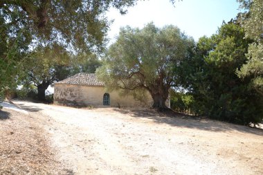 Parlak Akdeniz güneşinin altında eski zeytin ağaçlarıyla çevrili eski bir taş şapel. Kırsal duvarlar, kiremitli çatı ve huzurlu kırsal atmosfer, zamansız bir kırsal Yunan manzarası yarattı.