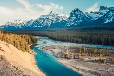 Athabasca - wild river in the heart of Canadian Rockies clipart