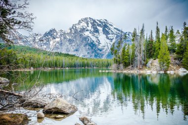 Göl ve dağların Grand Teton Milli Parkı'nda peyzaj