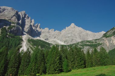 Dolomites manzaralar, çim, woods ve kayalar