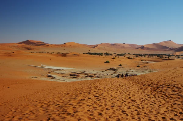 Areia e rochas do deserto do Namib — Fotografia de Stock