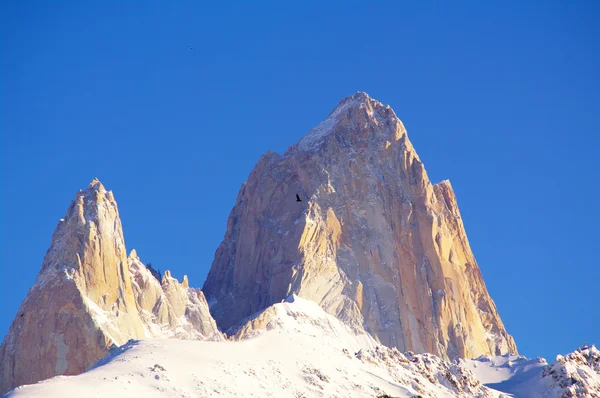 Patagonia peaks and glaciers — Stock Photo, Image