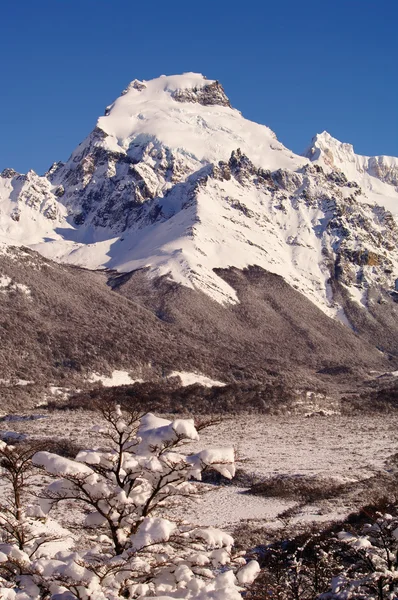 Patagonya tepeler ve buzullar