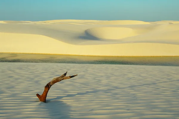 Lagoas e dunas de Lençois do Maranhão — Fotografia de Stock