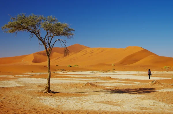 Sable et roches du désert de Namib — Photo