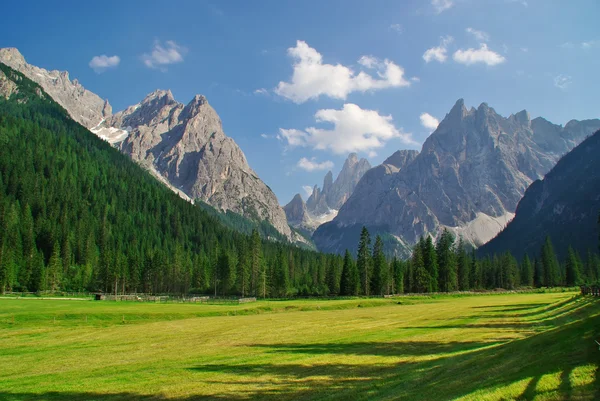 Dolomitas paisajes, hierba, bosques y rocas —  Fotos de Stock