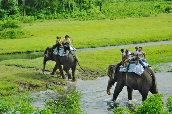 CHITWAN, NP-CIRCA AGOSTO 2012 - turistas haciendo safari en elefante — Foto de Stock