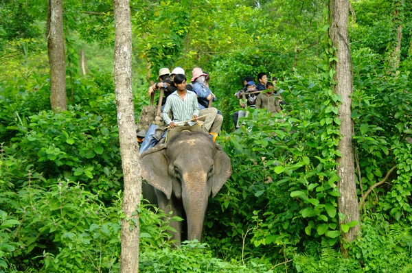 Chitwan, Np-2012 년 8 월-코끼리 사파리를 하 고 관광객 년경 — 스톡 사진