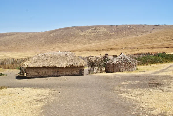 ARUSHA, TZ - CIRCA AGOSTO 2010 - Masai pueblo en Serengeti Nati — Foto de Stock