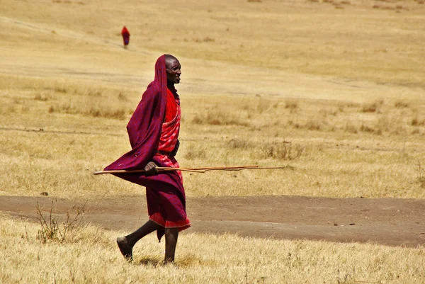 ARUSHA, TZ - CIRCA AUGUST 2010 - Masai village in Serengeti Nati — Stock Photo, Image