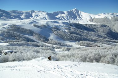Freeride Kayak boynuz alle ölçek resort ormanda.