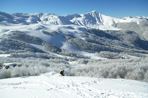 Freeride-Ski im Wald des Skigebiets Corno alle scale. — Stockfoto