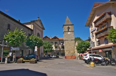 Vidiciatico ana kare görünümü.