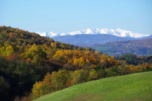 Mount Cusna karla kaplı
