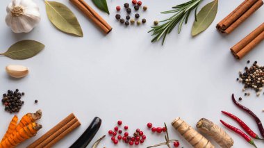 düz konum farklı baharatlar ve hafif arka planda bitkiler