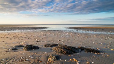 Deniz kıyısının güzel manzarası